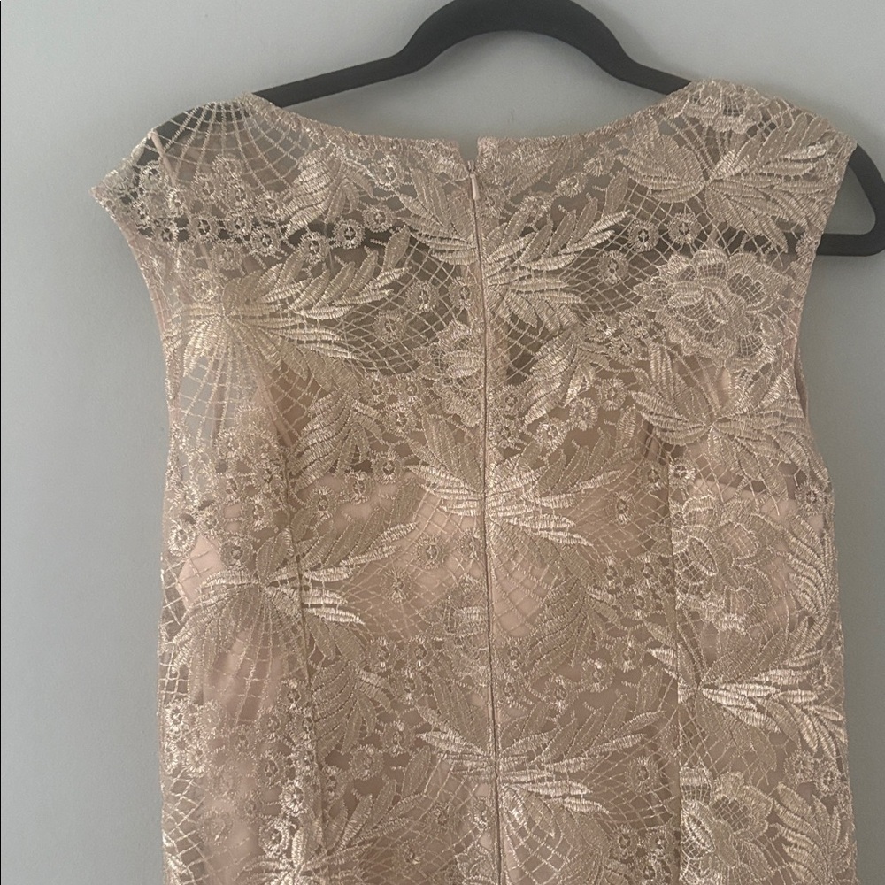 Alex Evenings Lace Evening Gown size 10 - Picture 6 of 11